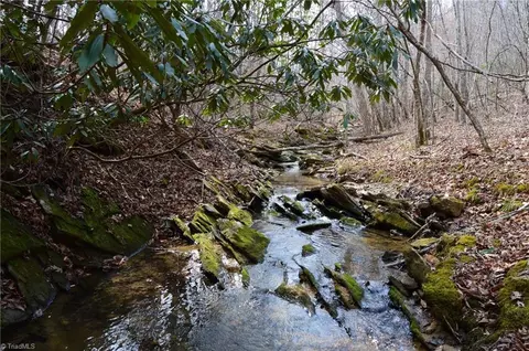 1284-1516 Tom Mix Road Apt 9593 - Ac Tract Rd #95.93 +/- AC TRACT, Westfield, NC 27053