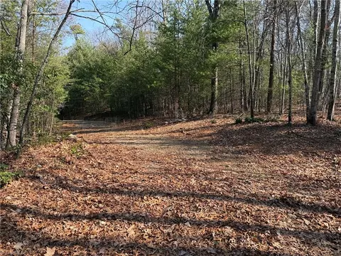 lot227 Deer Run, Purlear, NC 28665 photo 9