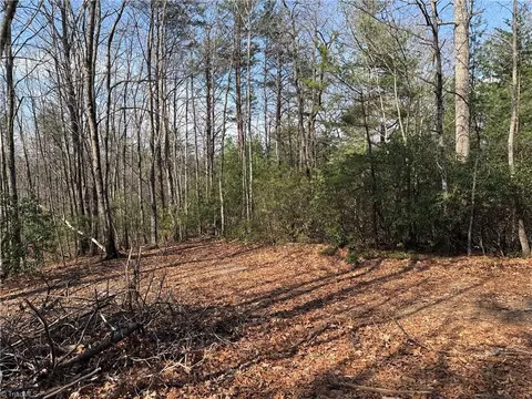 lot227 Deer Run, Purlear, NC 28665 photo 5