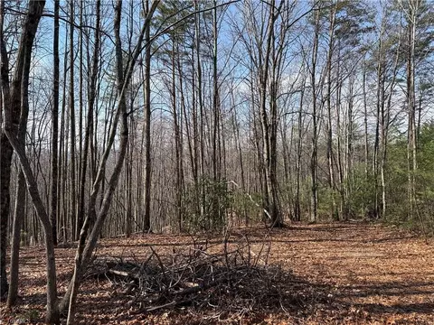 lot227 Deer Run, Purlear, NC 28665 photo 4
