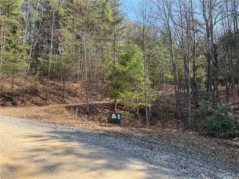 lot227 Deer Run, Purlear, NC 28665 photo 13
