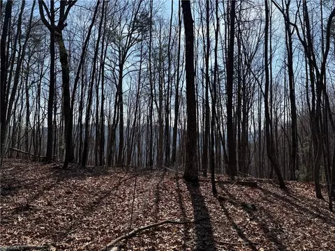 lot227 Deer Run, Purlear, NC 28665 photo 2
