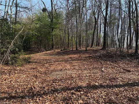 lot227 Deer Run, Purlear, NC 28665 photo 8