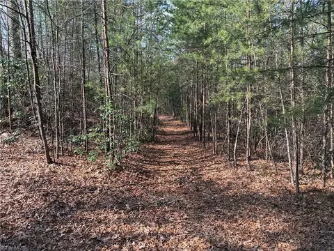 lot227 Deer Run, Purlear, NC 28665 photo 7