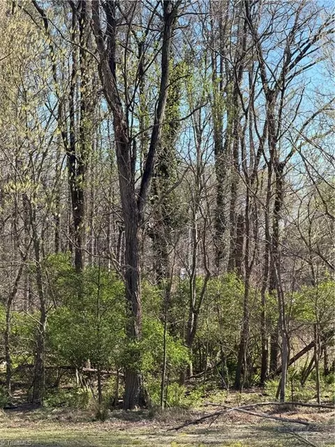 0 Pine Woods Church Rd, Thomasville, NC 27360