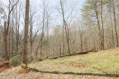 0 Seven Island Rd, Danbury, NC 27016