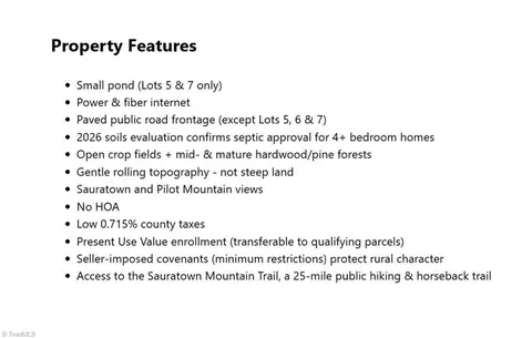 1 Old Mill Rd, Pinnacle, NC 27043 photo 25