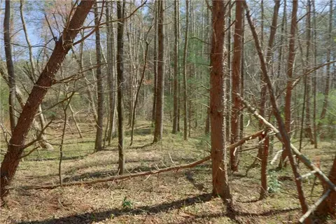 1 Old Mill Rd, Pinnacle, NC 27043 photo 11