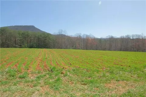 1 Old Mill Rd, Pinnacle, NC 27043 photo 4