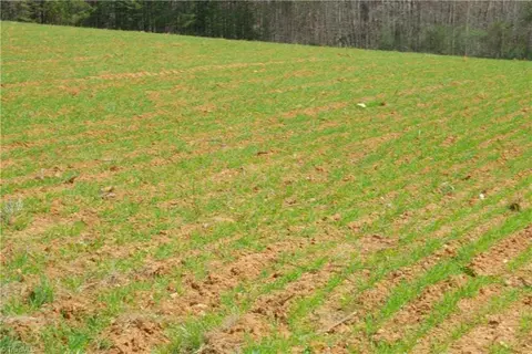 1 Old Mill Rd, Pinnacle, NC 27043 photo 10