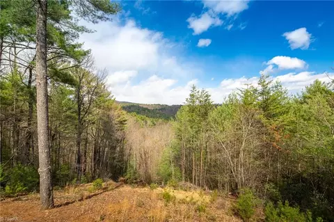 Other - 128 Deer Antler Dr, Purlear, NC 28665 photo 1 of 14