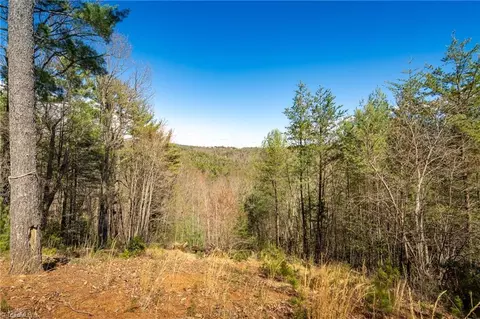 Other - 128 Deer Antler Dr, Purlear, NC 28665 photo 7 of 14