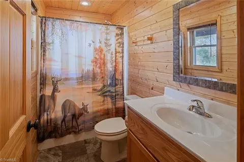 Bath - 128 Deer Antler Dr, Purlear, NC 28665 photo 1 of 2