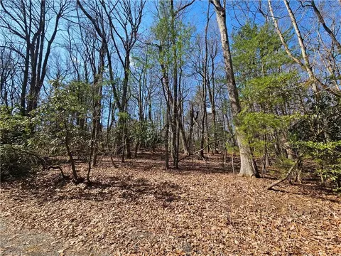 tbd Mt Retreat Rd, Roaring Gap, NC 28668 photo 4