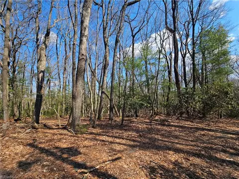 tbd Mt Retreat Rd, Roaring Gap, NC 28668 photo 10