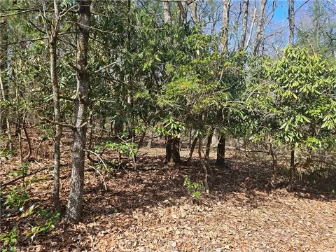 tbd Mt Retreat Rd, Roaring Gap, NC 28668