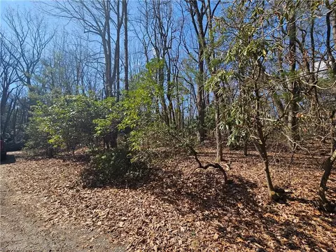 tbd Mt Retreat Rd, Roaring Gap, NC 28668 photo 5