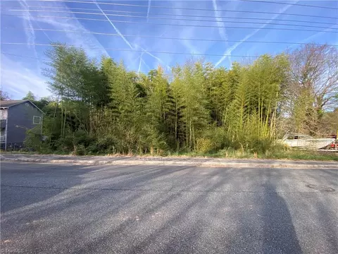 0 Commonwealth St, Randleman, NC 27317 photo 3