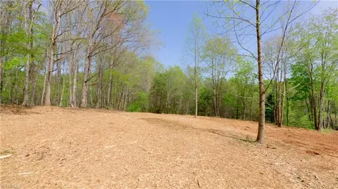 3 Thomas Farm Rd, King, NC 27021 photo 5