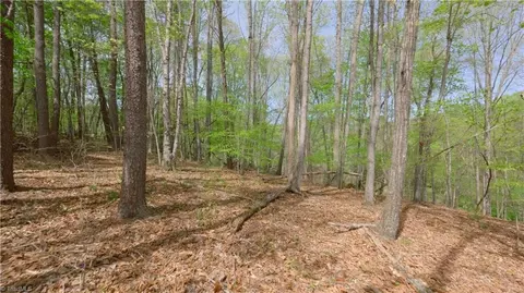 3 Thomas Farm Rd, King, NC 27021 photo 6