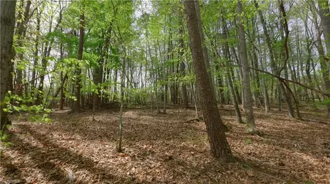 3 Thomas Farm Rd, King, NC 27021 photo 9