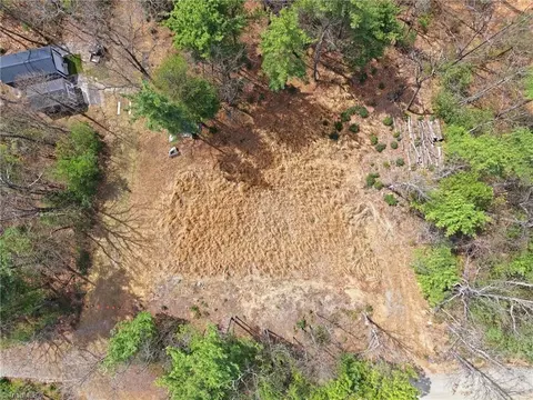 lot109 110 Pepper Bush Rd, Purlear, NC 28665 photo 7