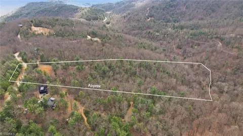 lot109 110 Pepper Bush Rd, Purlear, NC 28665 photo 4