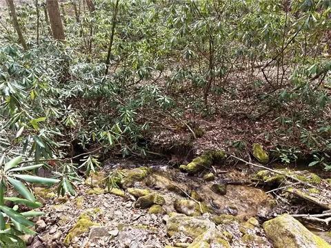lot109 110 Pepper Bush Rd, Purlear, NC 28665 photo 26