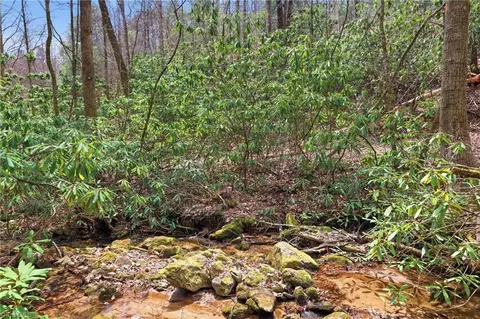 lot109 110 Pepper Bush Rd, Purlear, NC 28665 photo 24