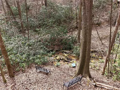 lot109 110 Pepper Bush Rd, Purlear, NC 28665 photo 21