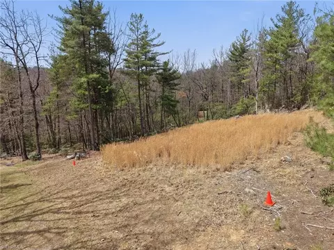 lot109 110 Pepper Bush Rd, Purlear, NC 28665