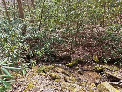 lot109 110 Pepper Bush Rd, Purlear, NC 28665 photo 25