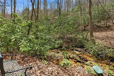 lot109 110 Pepper Bush Rd, Purlear, NC 28665 photo 22