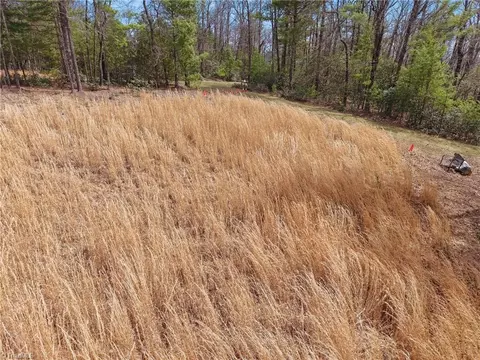 lot109 110 Pepper Bush Rd, Purlear, NC 28665 photo 9