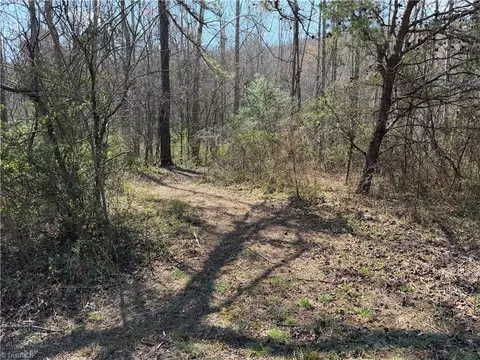 tbd Old Mill Rd, Lowgap, NC 27024 photo 12