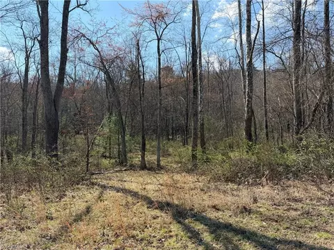 tbd Old Mill Rd, Lowgap, NC 27024 photo 4