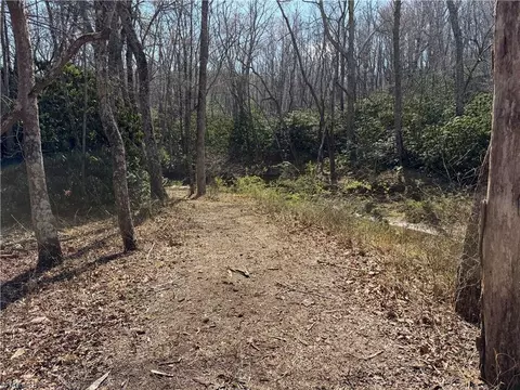 tbd Old Mill Rd, Lowgap, NC 27024 photo 5