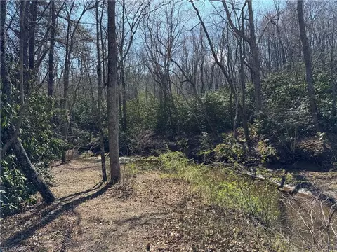 tbd Old Mill Rd, Lowgap, NC 27024 photo 22