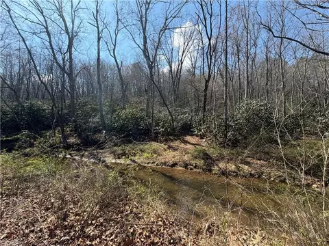 tbd Old Mill Rd, Lowgap, NC 27024 photo 21
