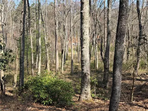 tbd Old Mill Rd, Lowgap, NC 27024 photo 27