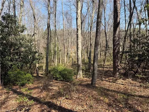 tbd Old Mill Rd, Lowgap, NC 27024 photo 26