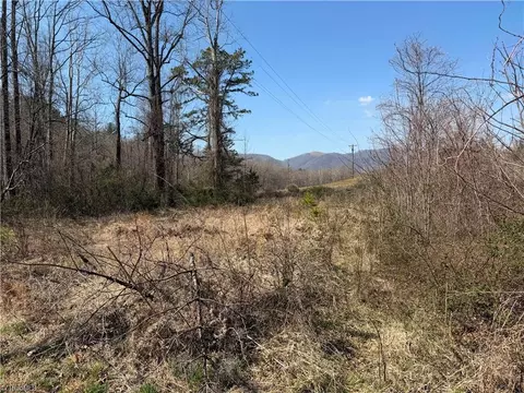 tbd Old Mill Rd, Lowgap, NC 27024 photo 3