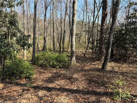 tbd Old Mill Rd, Lowgap, NC 27024 photo 24