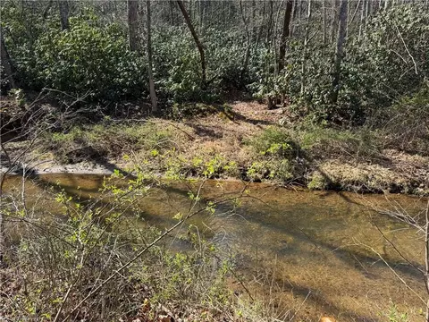 tbd Old Mill Rd, Lowgap, NC 27024 photo 13