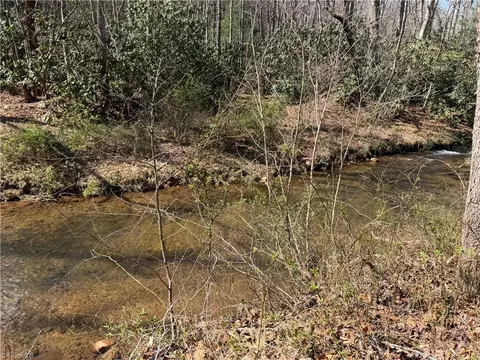 tbd Old Mill Rd, Lowgap, NC 27024 photo 10