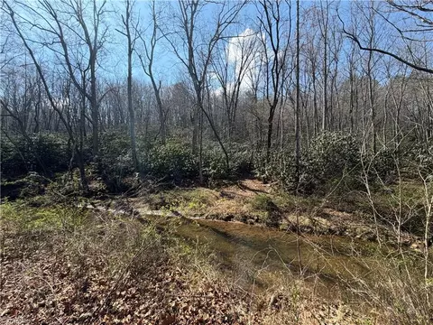 tbd Old Mill Rd, Lowgap, NC 27024 photo 6