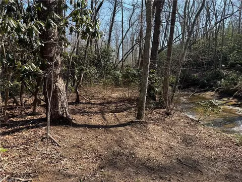 tbd Old Mill Rd, Lowgap, NC 27024 photo 23