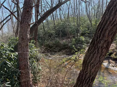 tbd Old Mill Rd, Lowgap, NC 27024 photo 25