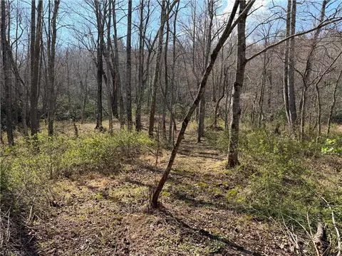 tbd Old Mill Rd, Lowgap, NC 27024 photo 16