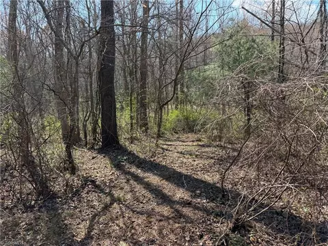 tbd Old Mill Rd, Lowgap, NC 27024 photo 14